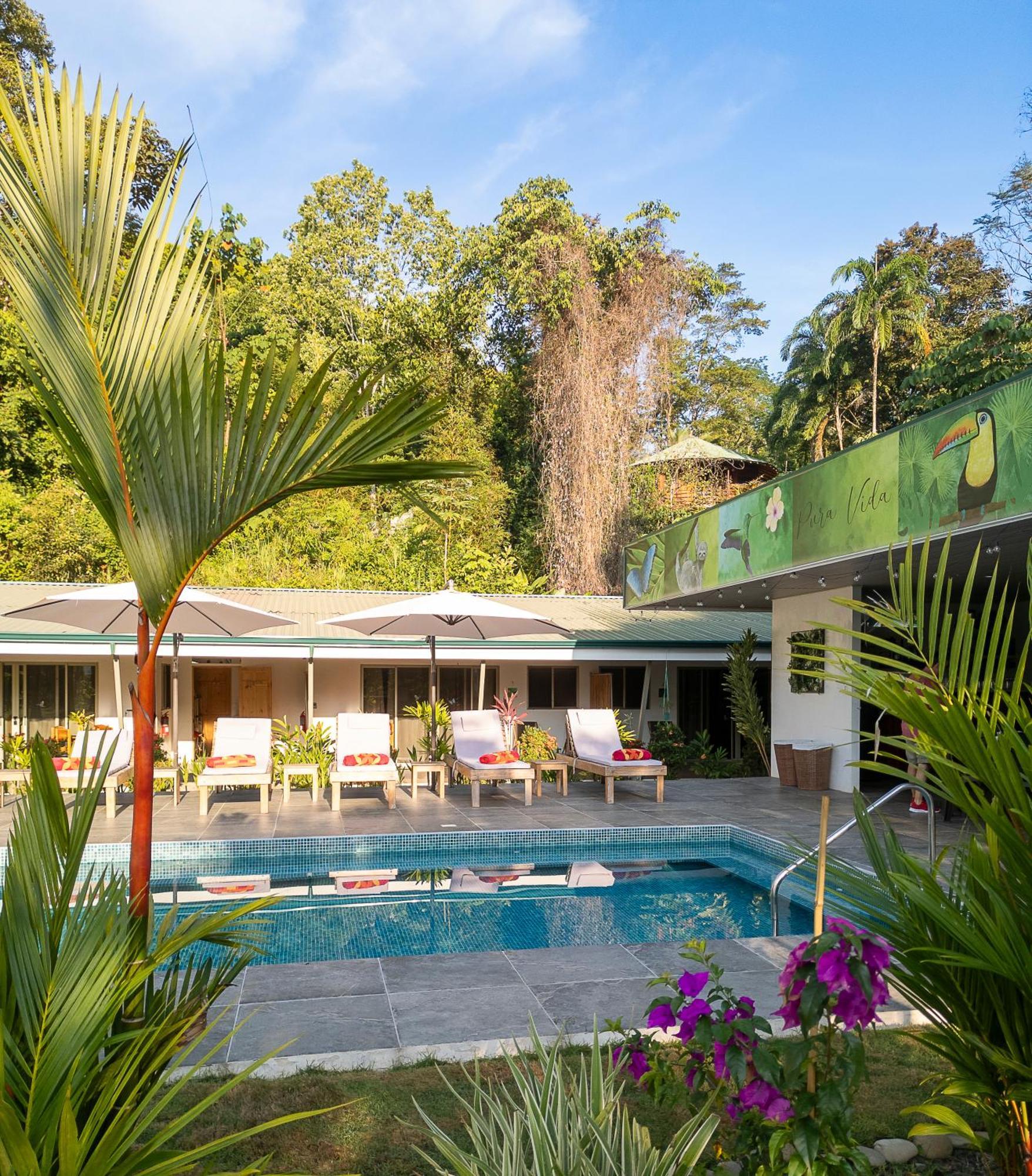 Paradiselodge Jungleguesthouse Platanillo Buitenkant foto