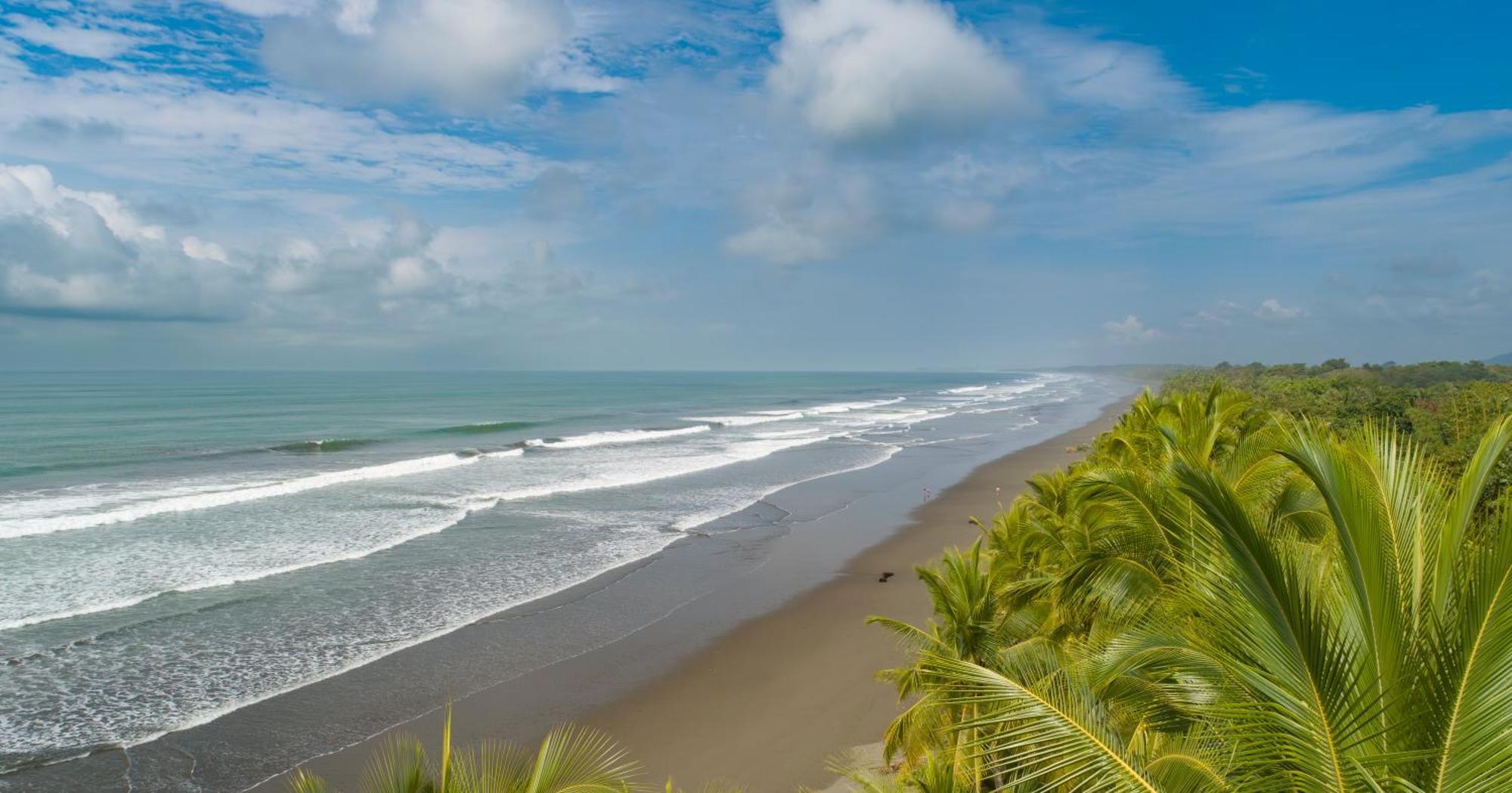 Paradiselodge Jungleguesthouse Platanillo Buitenkant foto